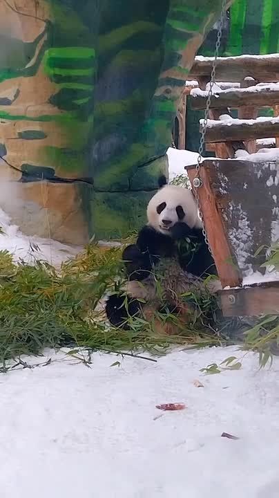 � ����-�� � ����� ������ ������