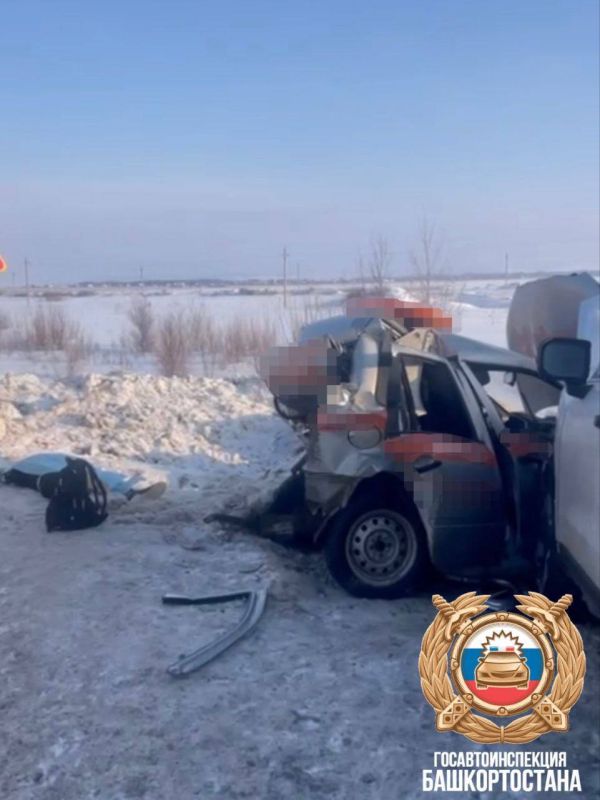 ����������� ��� ��� ����. ������ ��������� ������� ����� ������ ���� �� 19 �� ������ �-240, �� �������� � �-12 �������