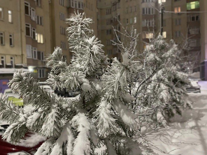 �� ������ ������������, 8 ����� �� ���������� ���������� ��������� �������� ������