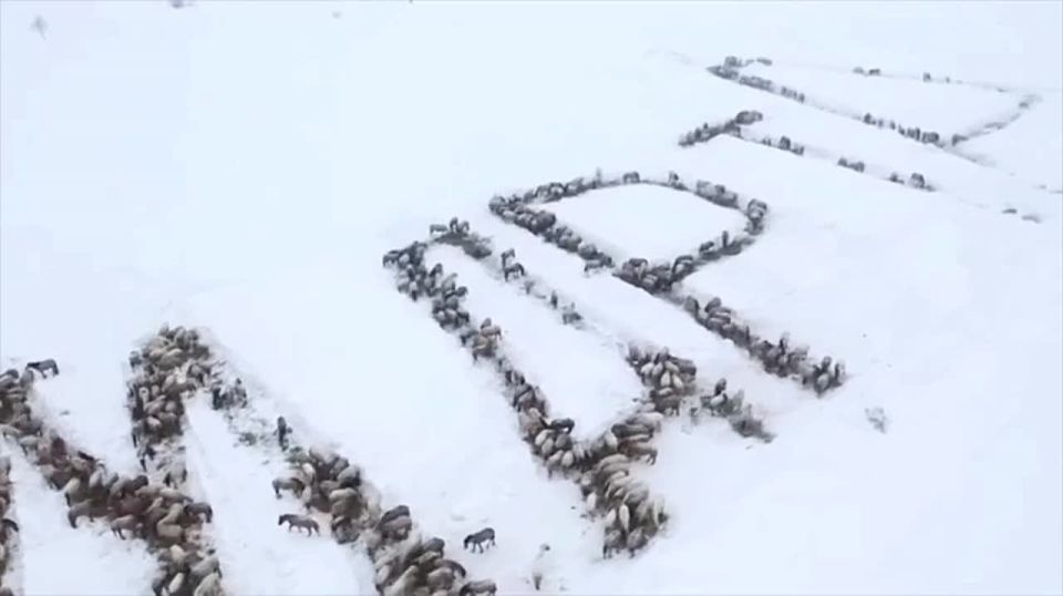 ������ �� �������� ��������� ��������� ������: ������� ����� � ���� ����� ���� � ������� � �������� �� � ������� "� 8 �����"