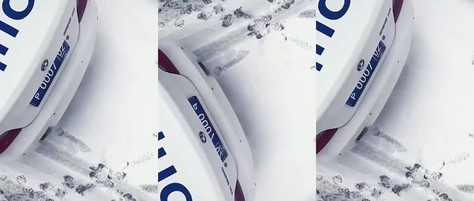 �����������, � ������� � �������, ���������� ���������������� ��� ������� �������� ���������, ������������ �� ���������� ���������������� �������������� � ����� ������������ ��������� ��������