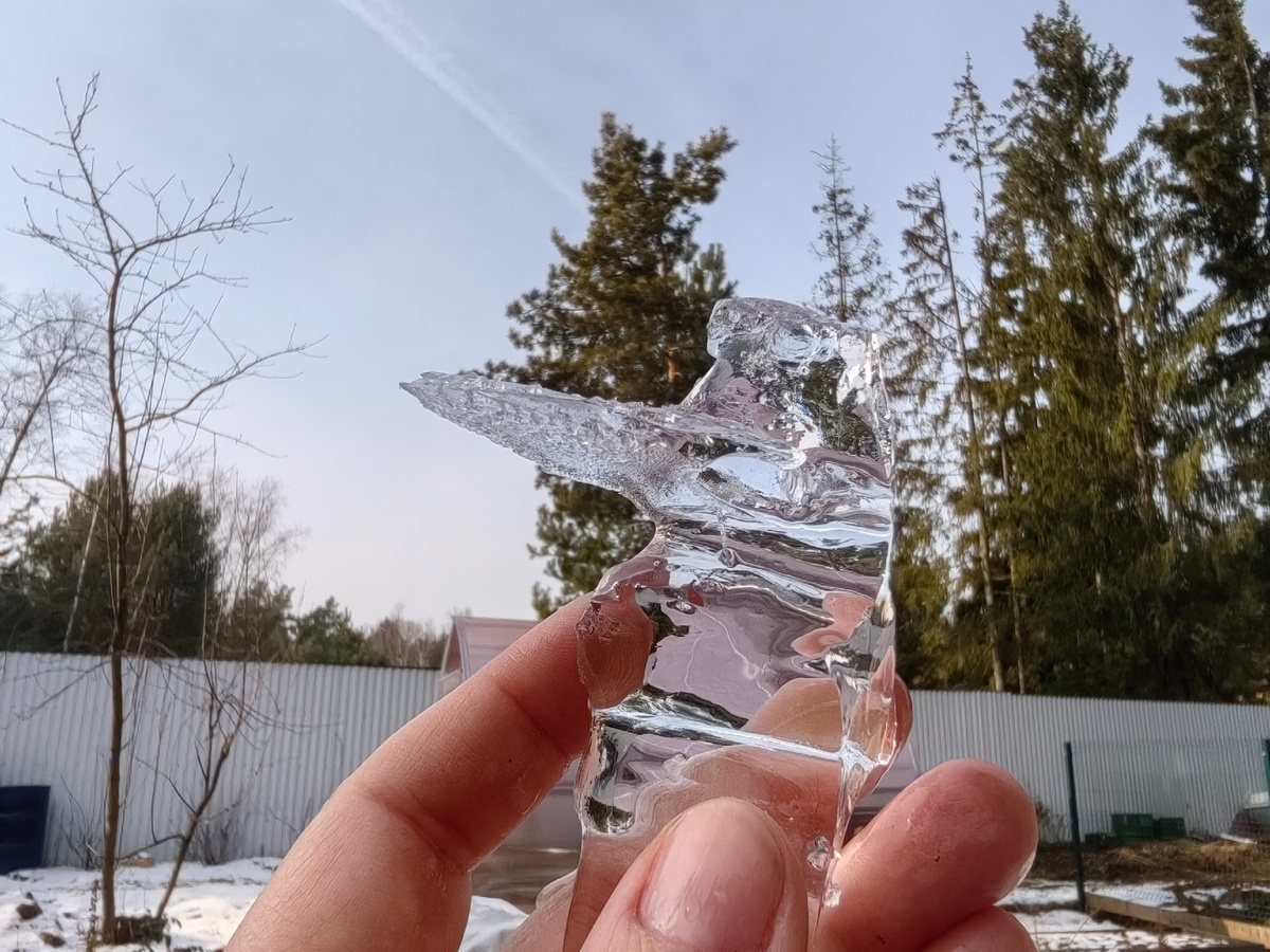 Как выбрать семена: правды и мифы о петуниях и садовых растениях