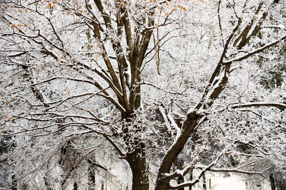 � �������� ��������� ����������� �� -35��