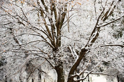 � �������� ��������� ����������� �� -35��