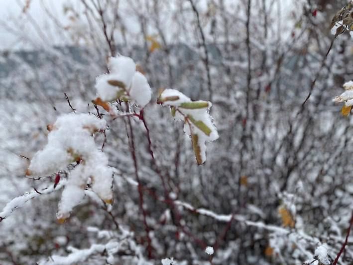 По данным Башгидромета, 10 марта на территории республики ожидается переменная облачность