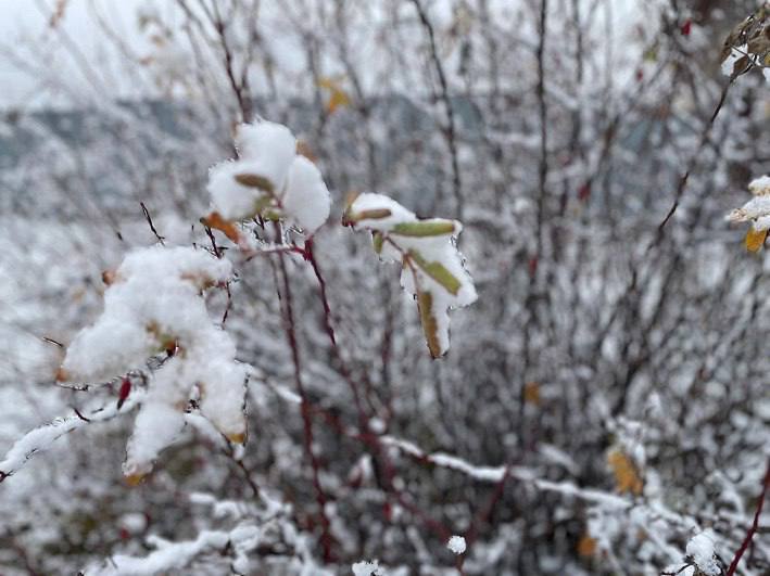 По данным Башгидромета, 10 марта на территории республики ожидается переменная облачность