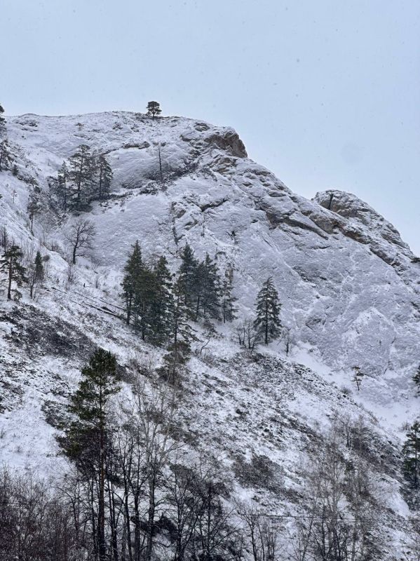 ������������� ������. ��������: ������ ���������