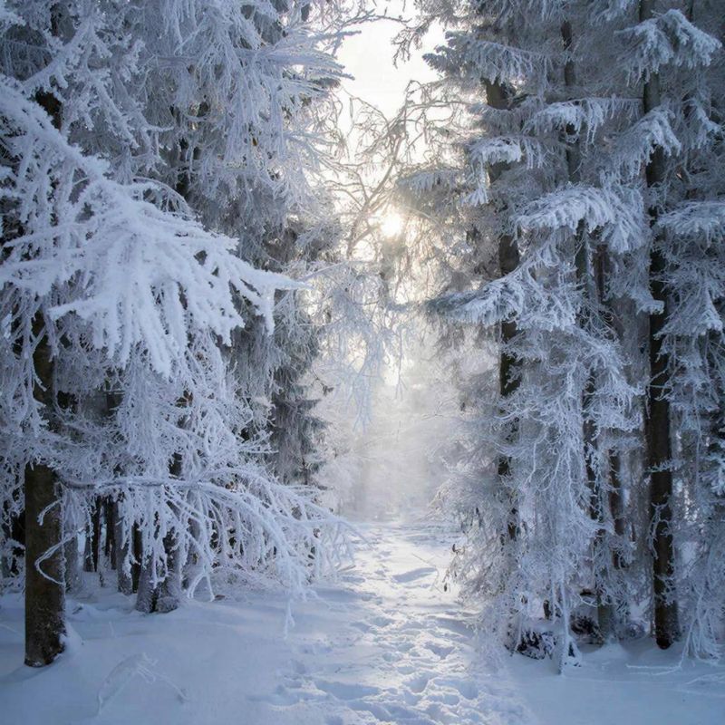 В Уфе — рекордный холод впервые за 13 лет!