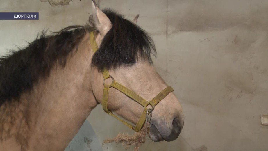 � �������� �������� �������� ��������� � ����������������� ������