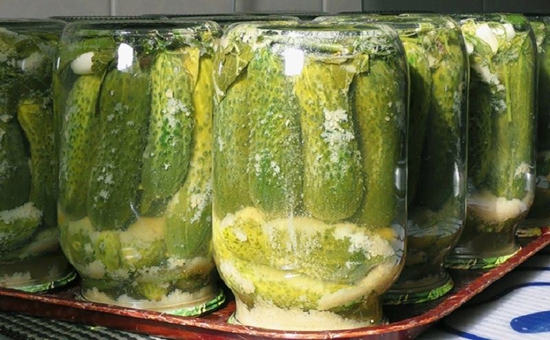 ��� ���������� ������ � ��������: ������� ��������� �������