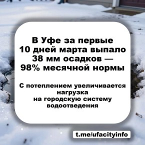 �� ������ 10 ���� ����� ������ 38 �� ������� � ��� 98 % �������� �����! � ����������� ���� ����������� ��������