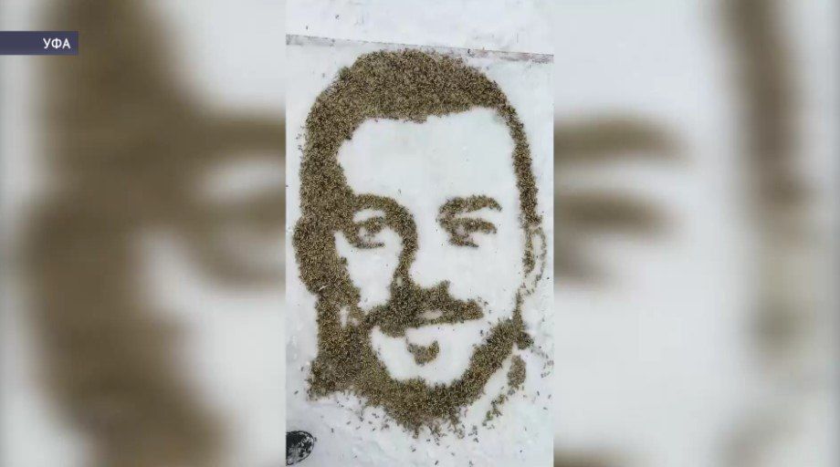 ��������� �� ��� ������� ������� ������ �������� �� �����