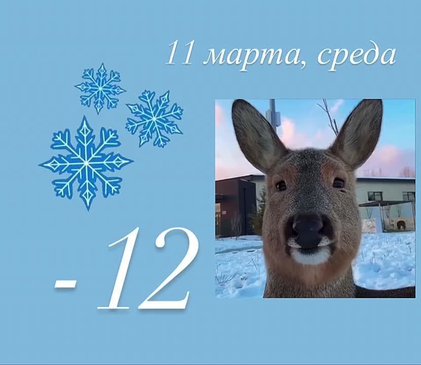 ������ ����! ������ ������� ��� �����������