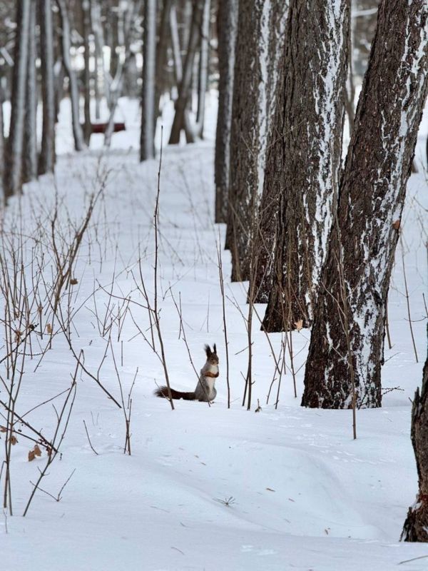По данным Башгидромета, 12 марта на территории республики ожидается облачная погода с прояснениями