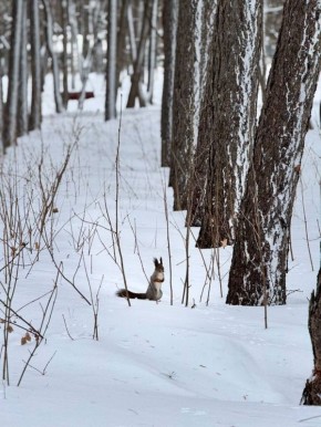 �� ������ ������������, 12 ����� �� ���������� ���������� ��������� �������� ������ � ������������