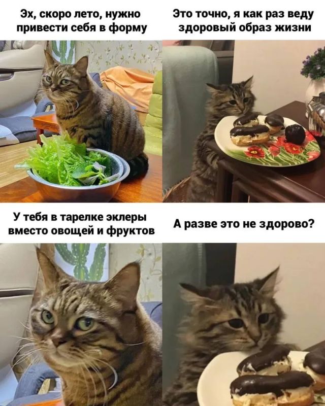 ����� � ����� � �� ��� ����! ������� � ��� 14�15 �����