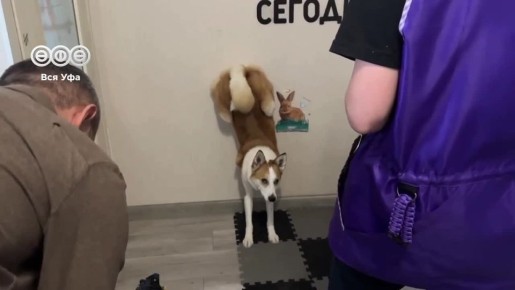 ��������� �� ��� ����� ����������� �������������� ������������