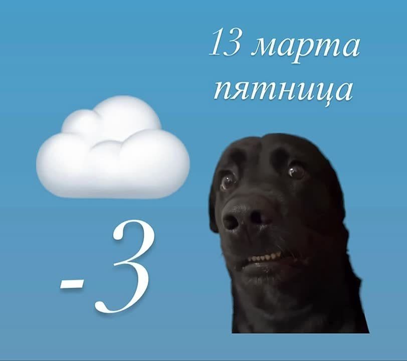 Доброе утро! С пятницей Вас