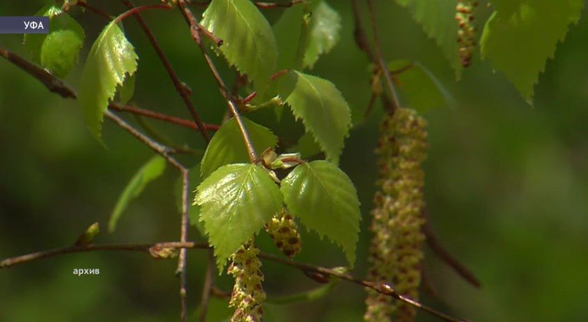 ������� �������� ����������, ��� �������� � �������� �����������