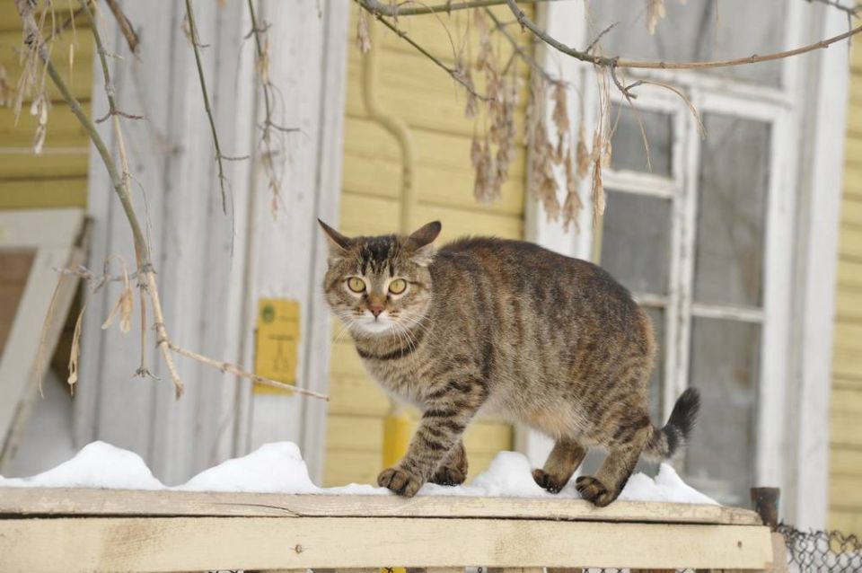 По данным Башгидромета, 13 марта на территории республики ожидается переменная облачность
