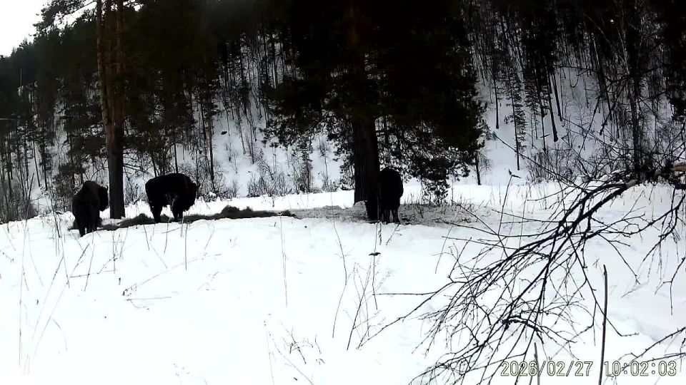 Кугарчинский район, наши дни