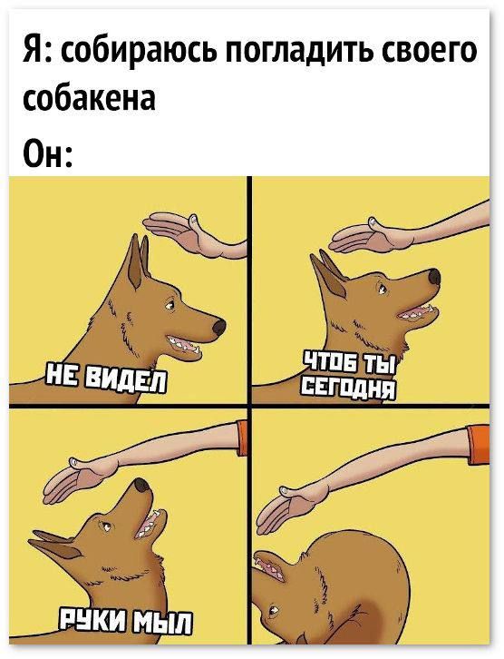 Собачьи площадки — по новым правилам!