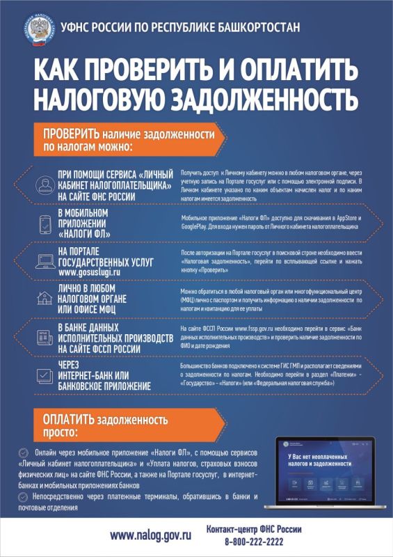 Сэкономьте время и деньги: проверьте налоговые долги прямо сейчас