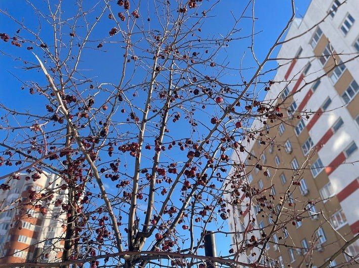 �� ������ ������������, 14 ����� �� ���������� ���������� ��������� ���������� ����������