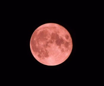 2 ������ � ���� ��������� ��������� ����