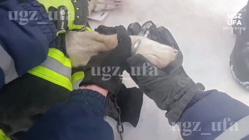 �������� �������� ����!�. �� ����� ���������� ������� ��������� ���������� ����������� ������: ���� ������ �������� � ��������, � ������� �� ������ ������ ������� ��������������