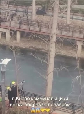 Китайские коммунальщики впереди планеты всей: они начали резать ветки деревьев лазерами