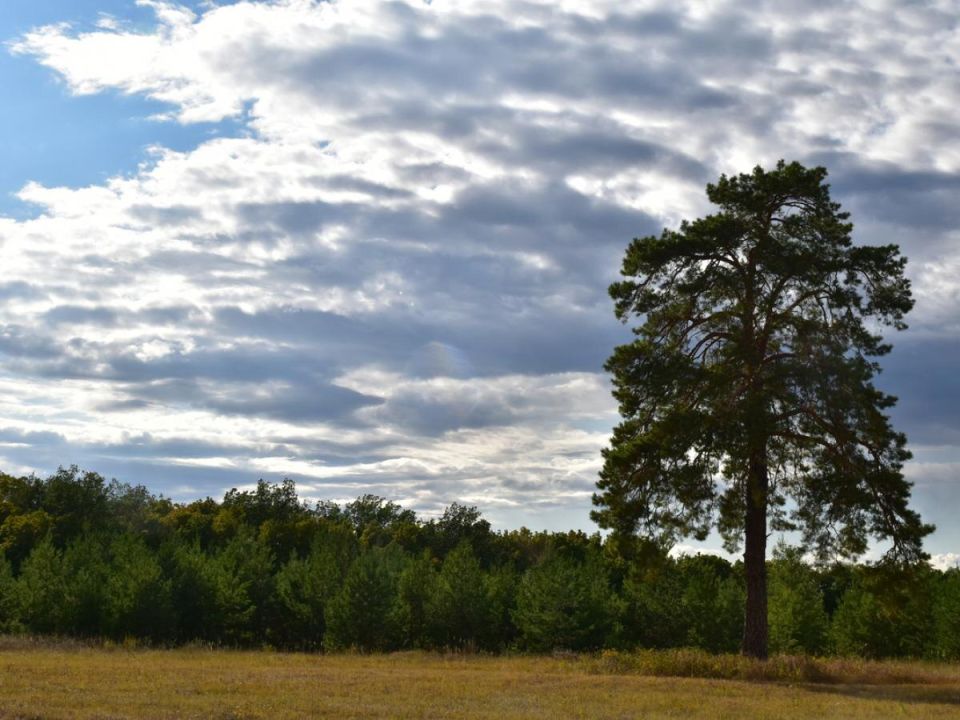 ��� ��������� ���������� ������: ������ ���������