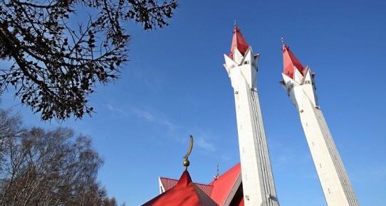 �����-������ � ���: ��� � ��� ����� �����������