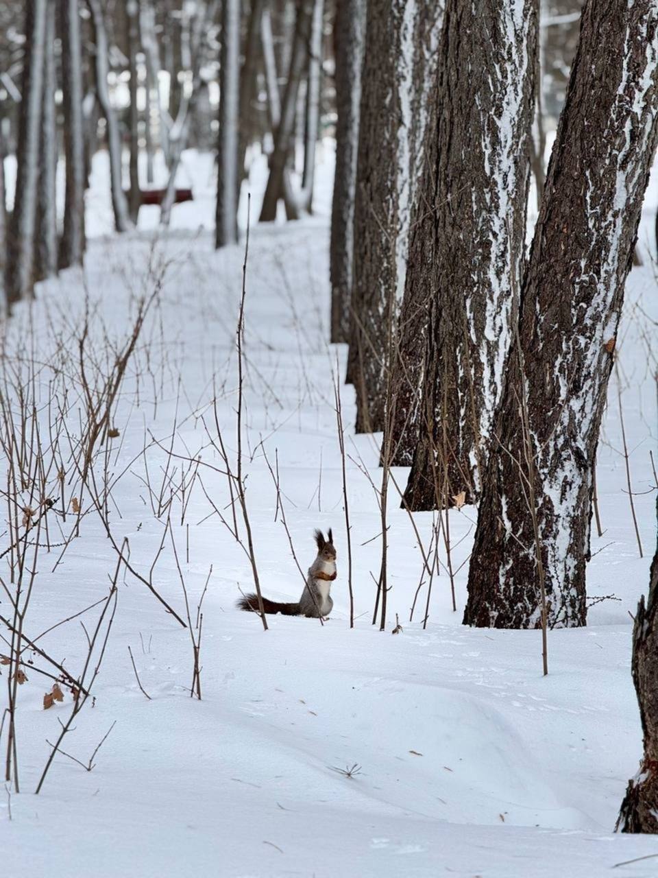 По данным Башгидромета, 16 марта на территории республики ожидается переменная облачность