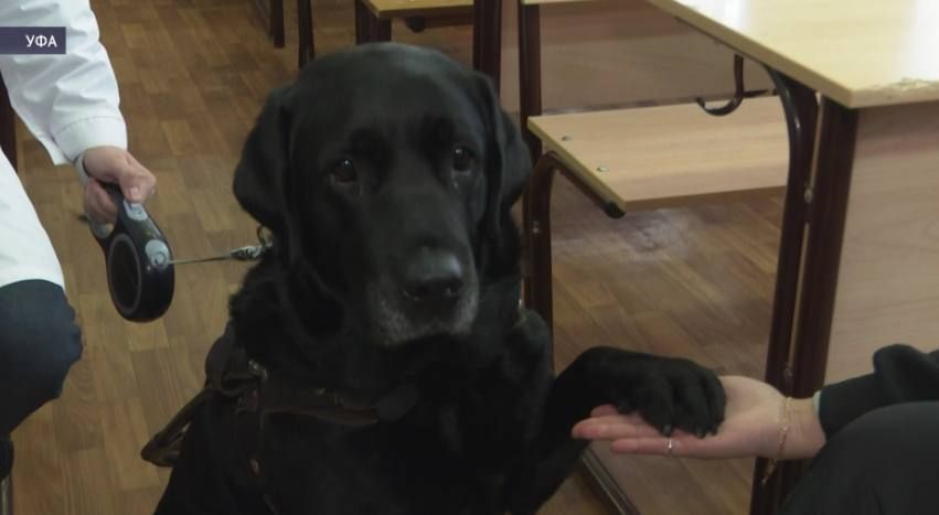 ������� �������� ���������� � ����� ����� ��� �����-���������