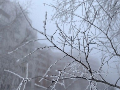 По данным Башгидромета, 17 марта на территории республики ожидается переменная облачность