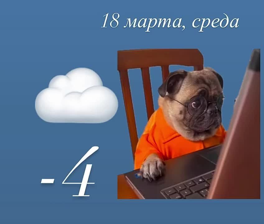 ������ ����. �� ������ ������������, ������� � ��� ���������� ����������