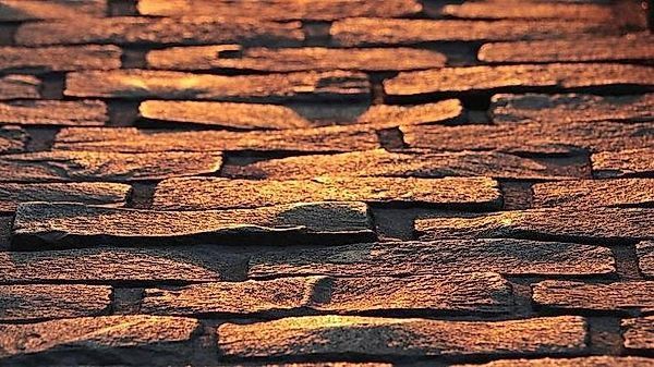 Курьер заблудился в лесу. 17 марта молодой человек на электровелосипеде вёз заказ с улицы Рихарда Зорге на Сафроновский проезд