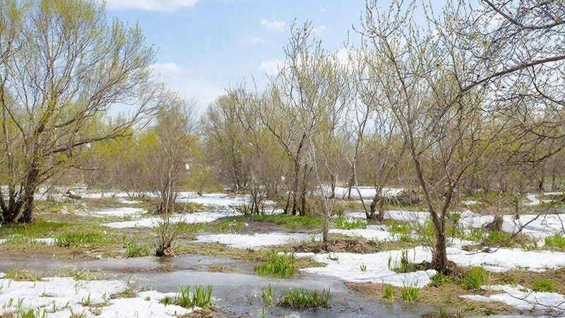 � �������� ������ ������������ ����������