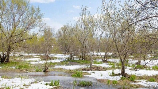 В Башкирию пришло долгожданное потепление