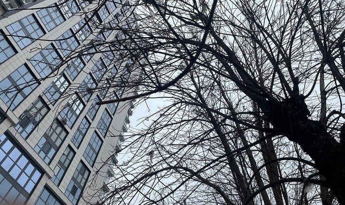 �� ������ ������������, 19 ����� �� ���������� ���������� ��������� ���������� ����������