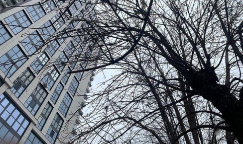 По данным Башгидромета, 19 марта на территории республики ожидается переменная облачность