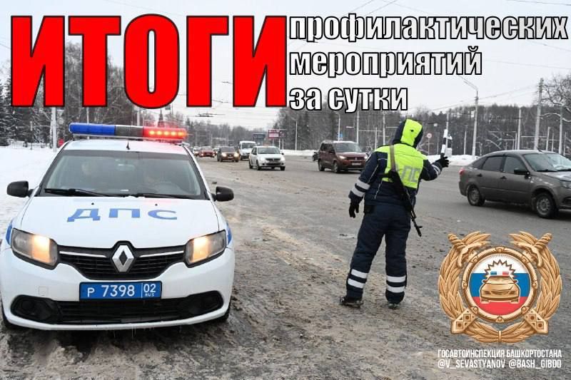 ����� ������ ���: ������ �� ���� � ����� ���������