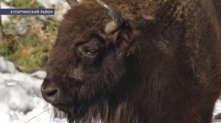 � �������� �������� ��� ������ ����������� ������