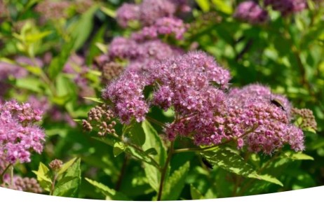 ������: ����� ��������� ������ ���� �� ���������� ����� ����