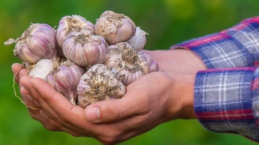 ������� �������� ��������� �������: �������� � ���������