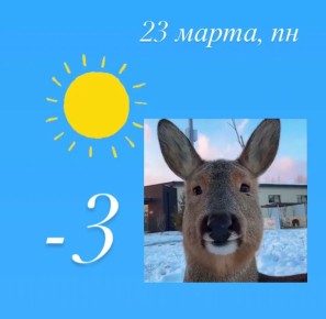 ������ ����. ������� ������� ������