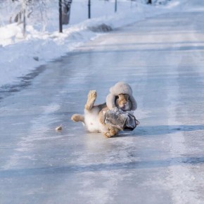 ����� � ������ ������� ��������