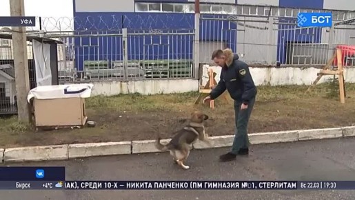 � ��� �� ������������� � ������� ����������