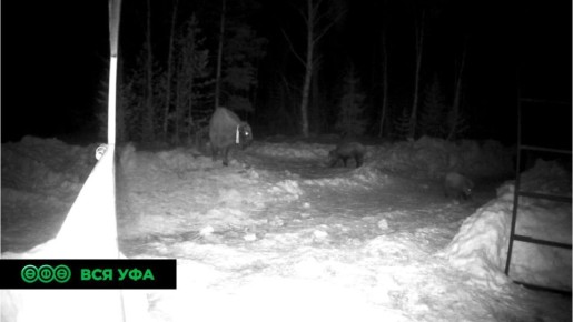 ��� �������� ���������� ����� ����� ��� ������� ����